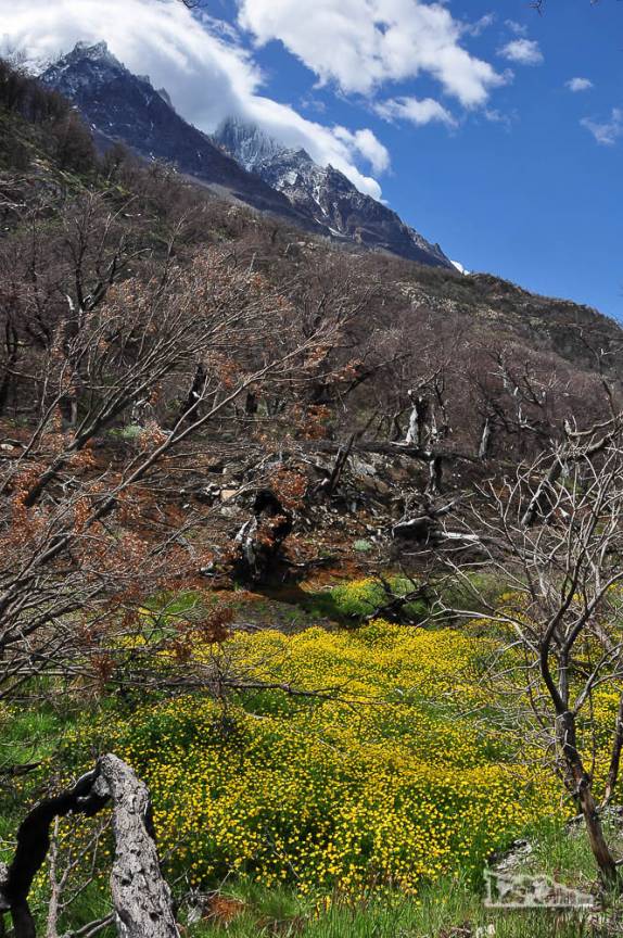 Final de primavera, início de verão no parque nacional Torres del Paine, no sul do Chile